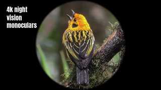 Wysokiej jakości monokular noktowizyjny 4K