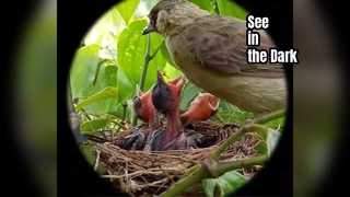 Obserwacja w goglach noktowizyjnych Hondigi